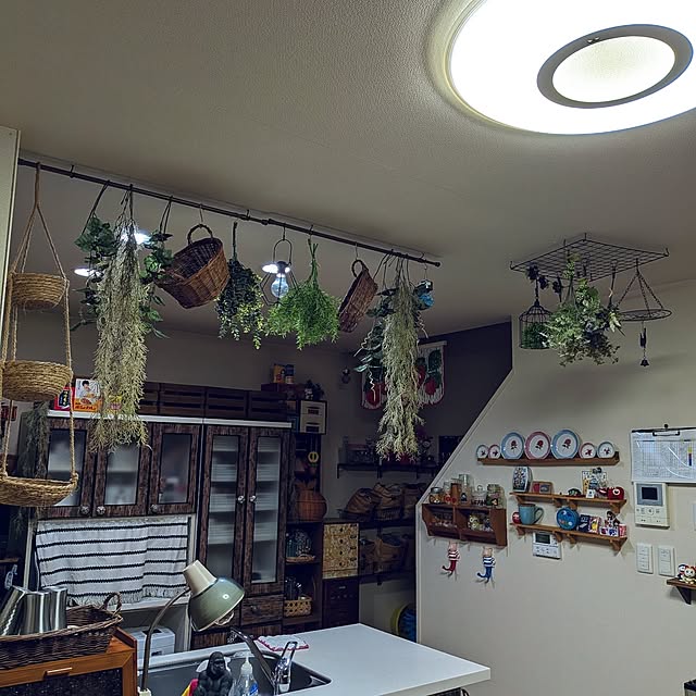 umeboshicyanさんの部屋