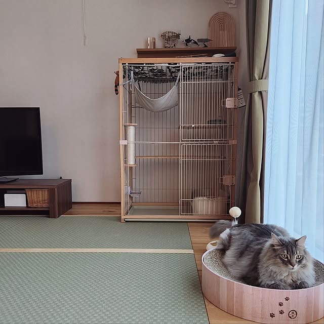 kossyさんの部屋