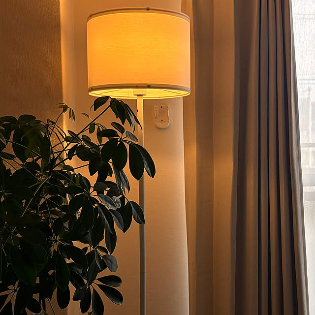 fav_thingさんの実例写真