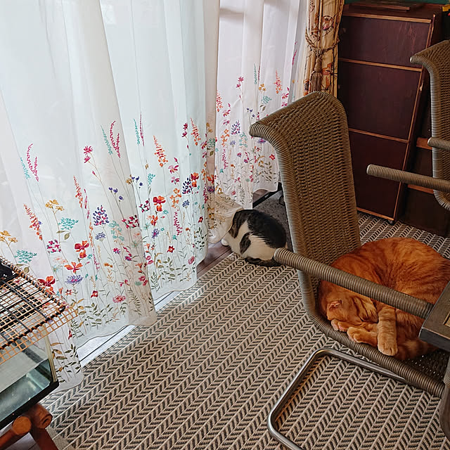 okyosan101さんの実例写真