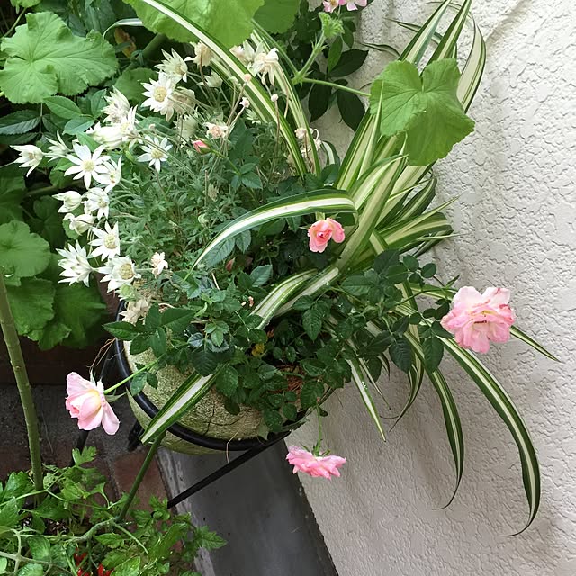 sumirepiano1103さんの実例写真