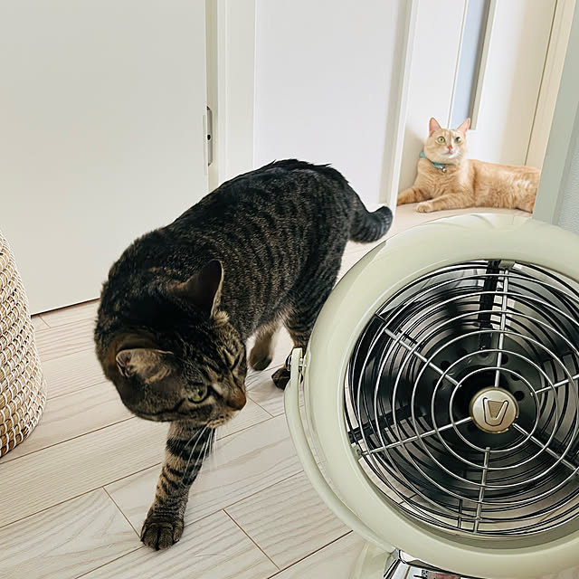 yococo_kurashiさんの実例写真