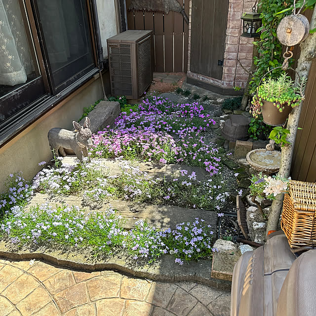 tabasaさんの部屋