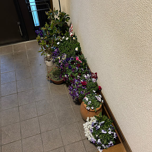 ritsukoさんの部屋