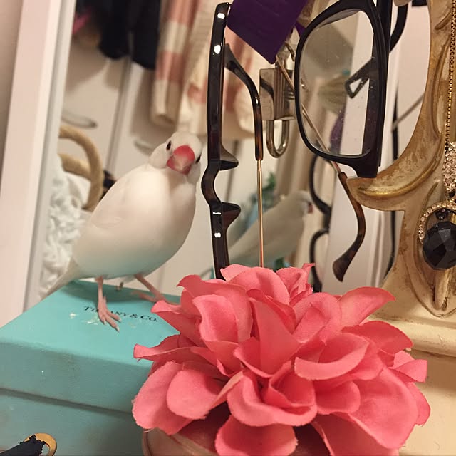 Marinaさんの実例写真