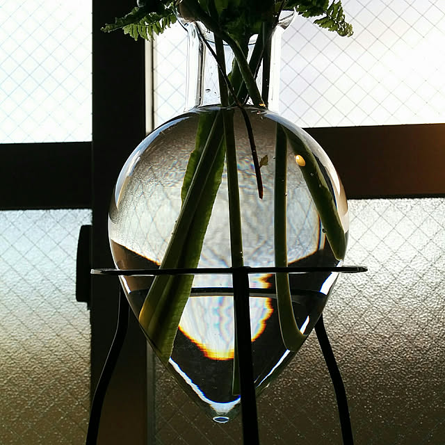 horohorotoriさんの実例写真