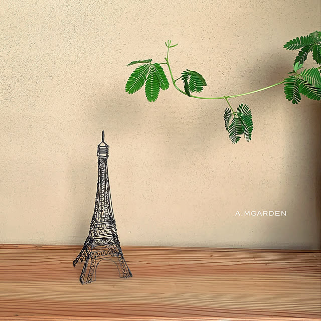 a.mgardenさんの実例写真