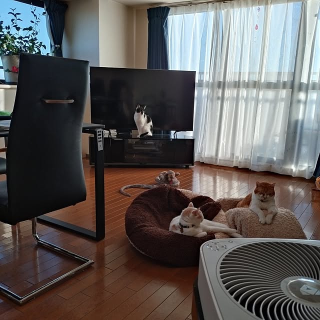 NOAHさんの部屋