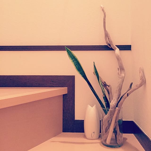 minaさんの実例写真