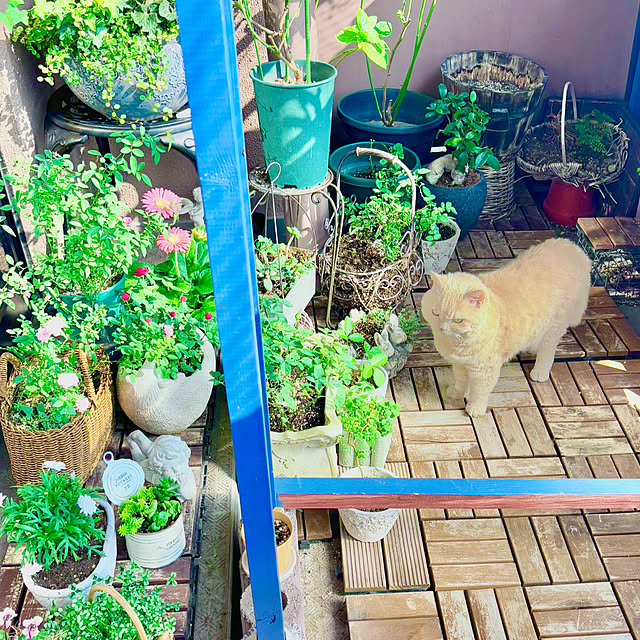 naokoさんの部屋