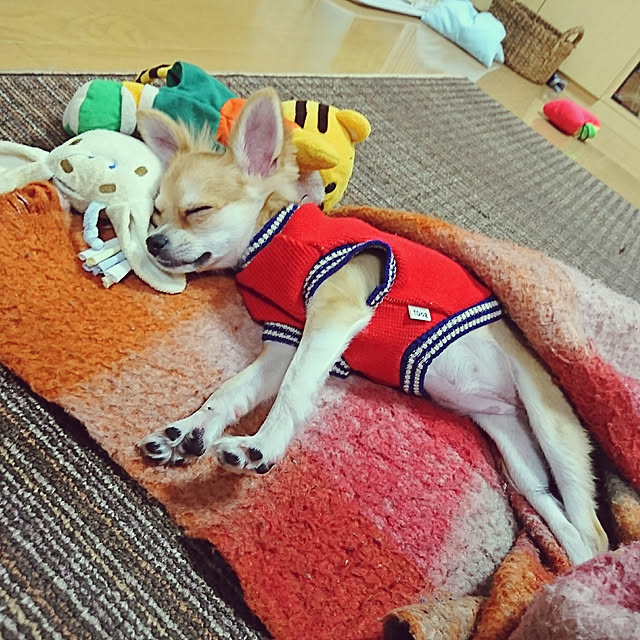 nattimomoさんの実例写真