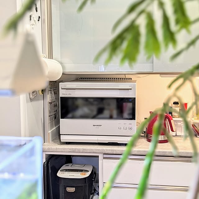 tomatopapaさんの実例写真