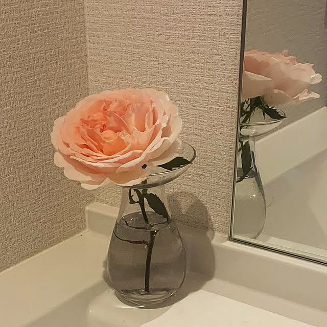 Juno06さんの実例写真