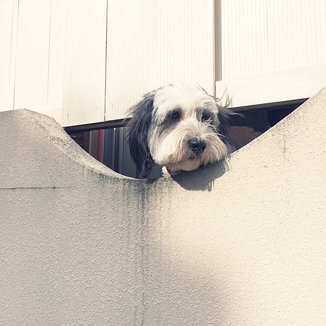 nuiさんの実例写真