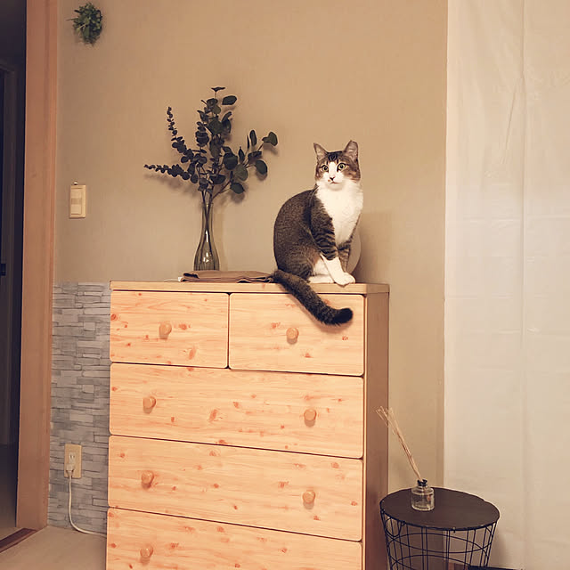 nekomiさんの実例写真