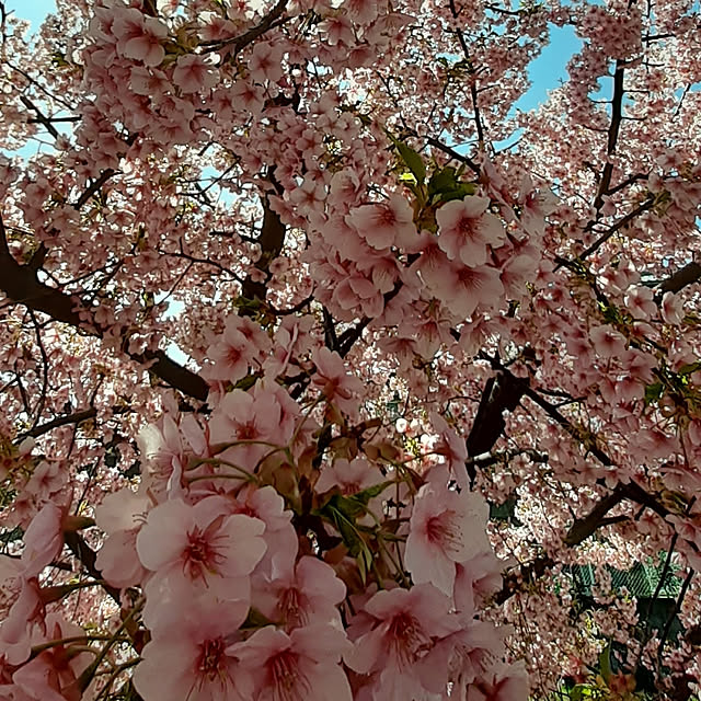 amtさんの実例写真