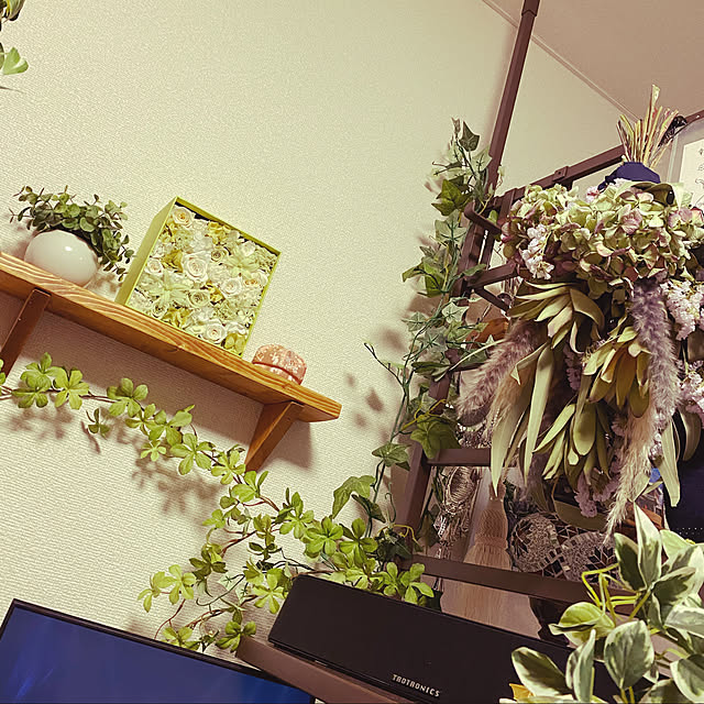 motimadoさんの実例写真
