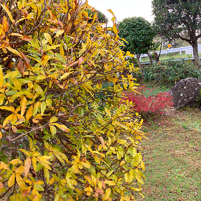 Nagakoさんの部屋