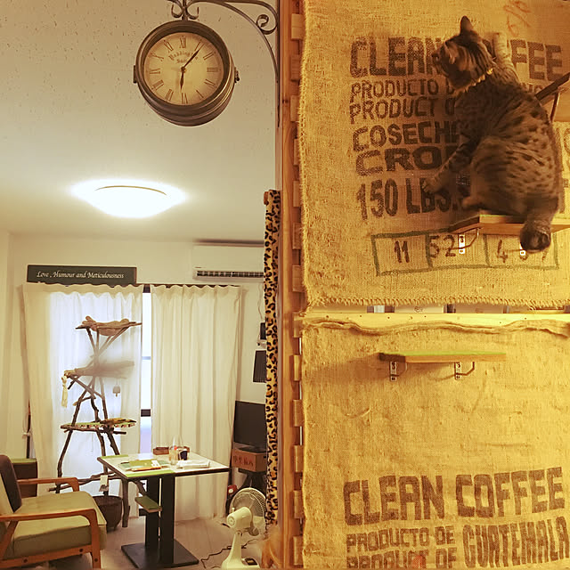 Mさんの実例写真