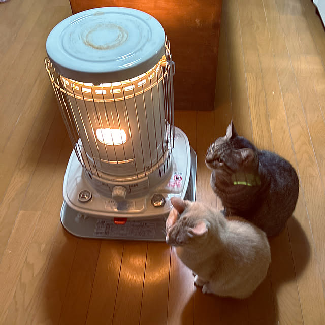mikan161さんの実例写真