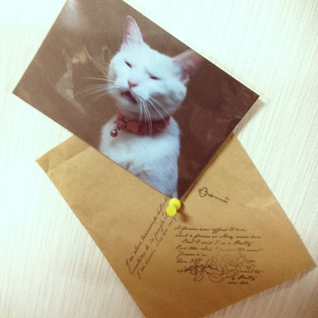 SA.Kさんの実例写真