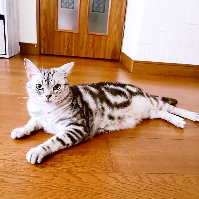 kumingさんの実例写真