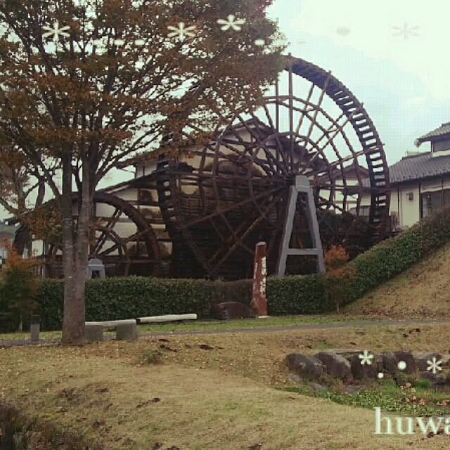 huwahuwa.mokumokuさんの実例写真