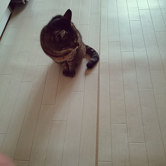 lilyさんの実例写真
