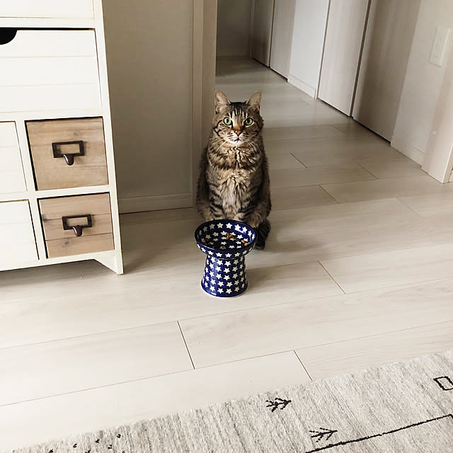 RT_hさんの実例写真