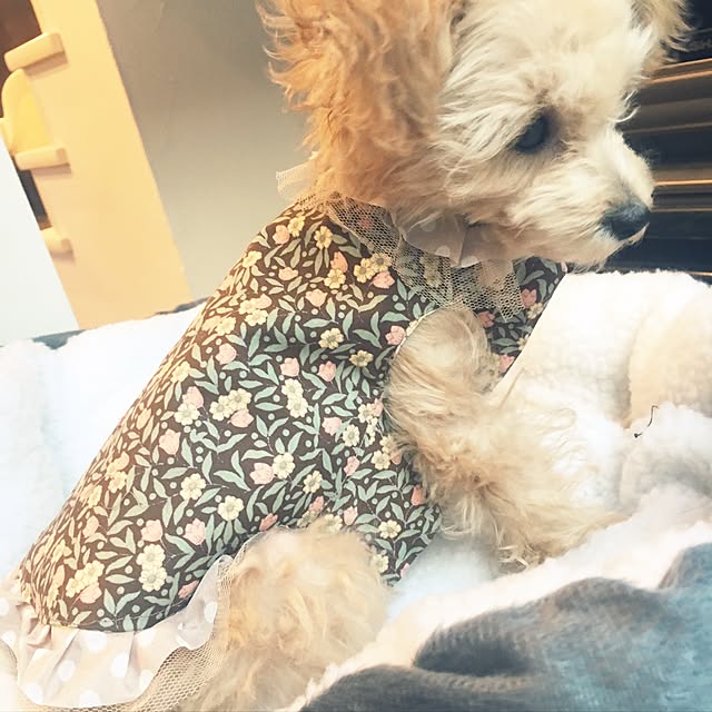 cocco0505さんの実例写真
