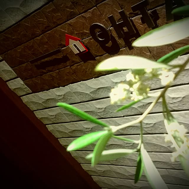 ohta-taroさんの実例写真