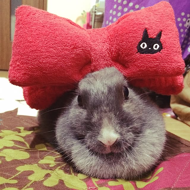 meeeeeeeeeiさんの実例写真