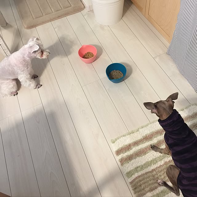 suzyさんの実例写真