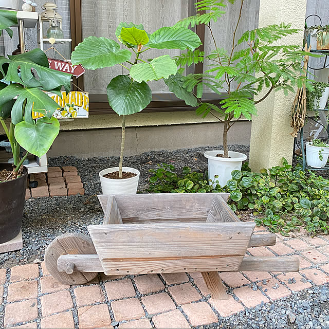 miporinさんの実例写真