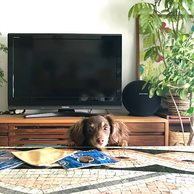 rueさんの実例写真