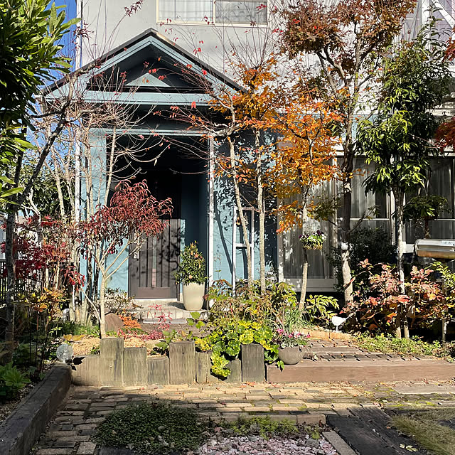 nobikoさんの部屋