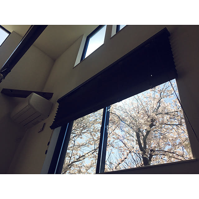 Evezhouseさんの実例写真
