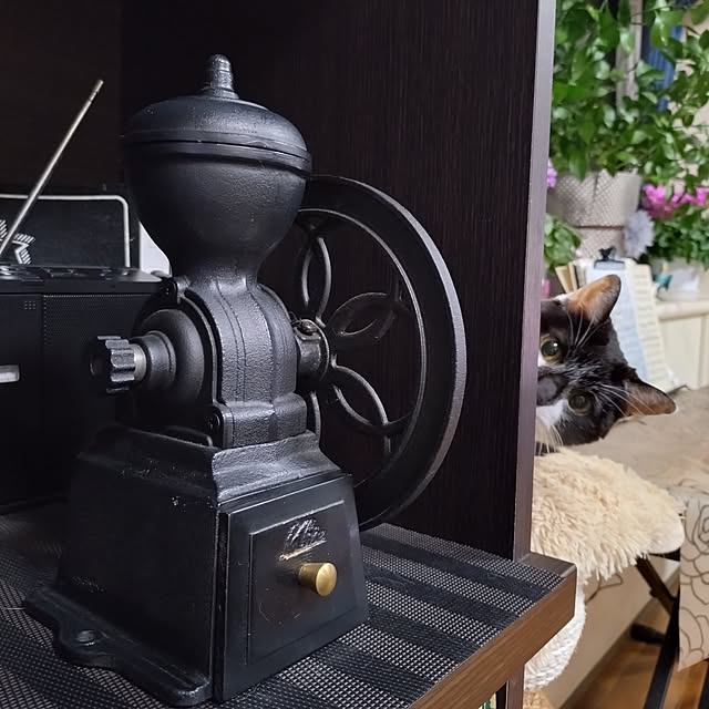 NOAHさんの実例写真