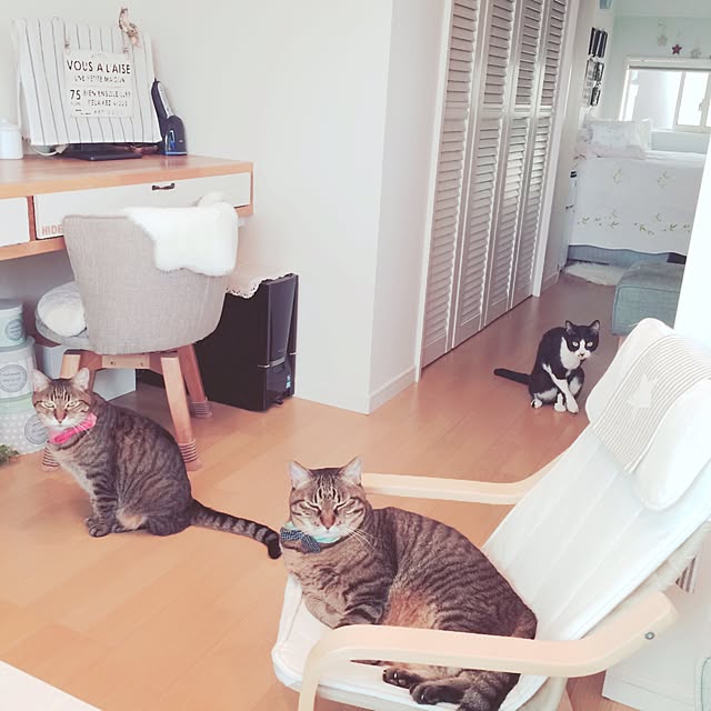 lovecatさんの実例写真