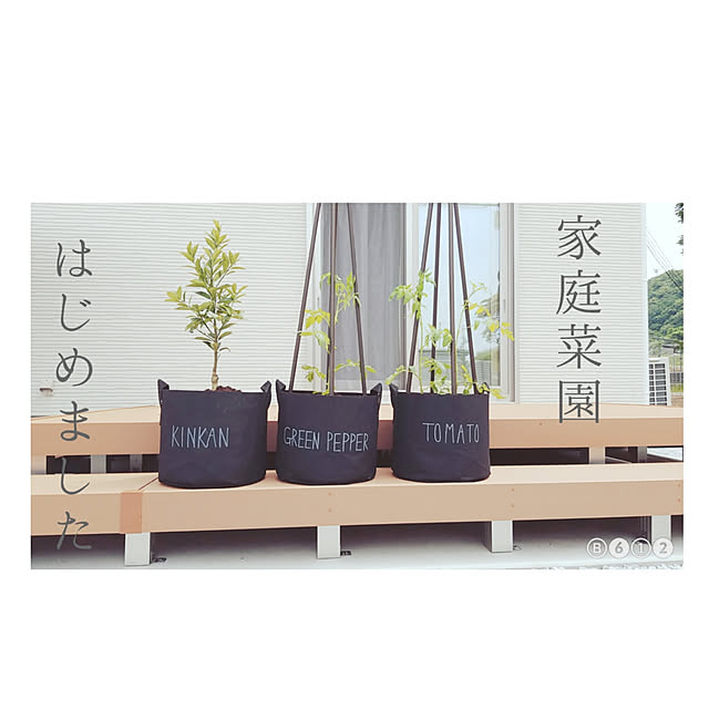 anrimamaさんの実例写真