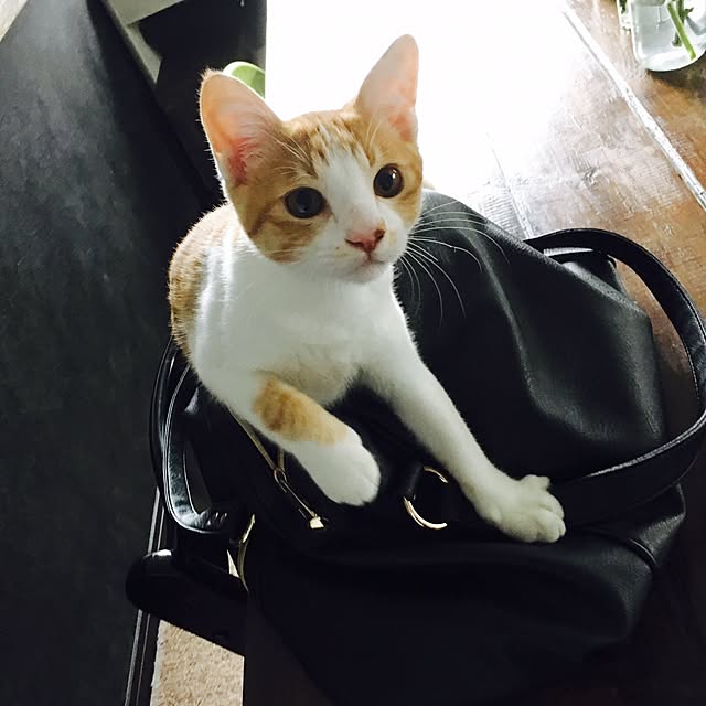 abcさんの実例写真