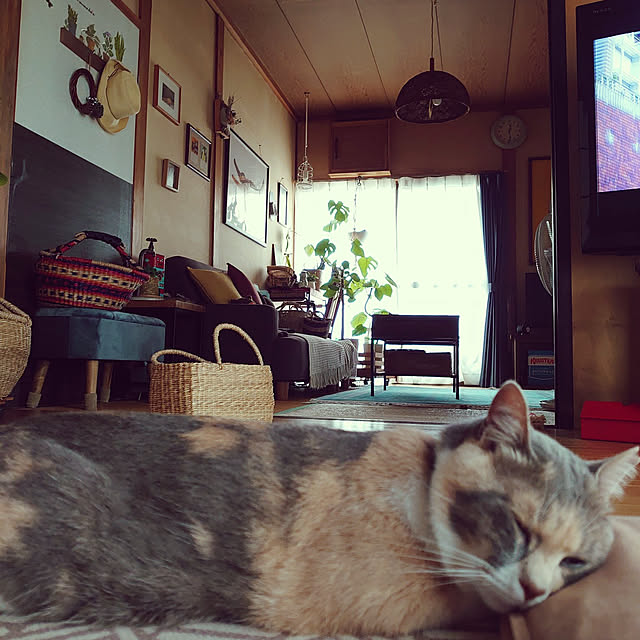 fukuさんの実例写真