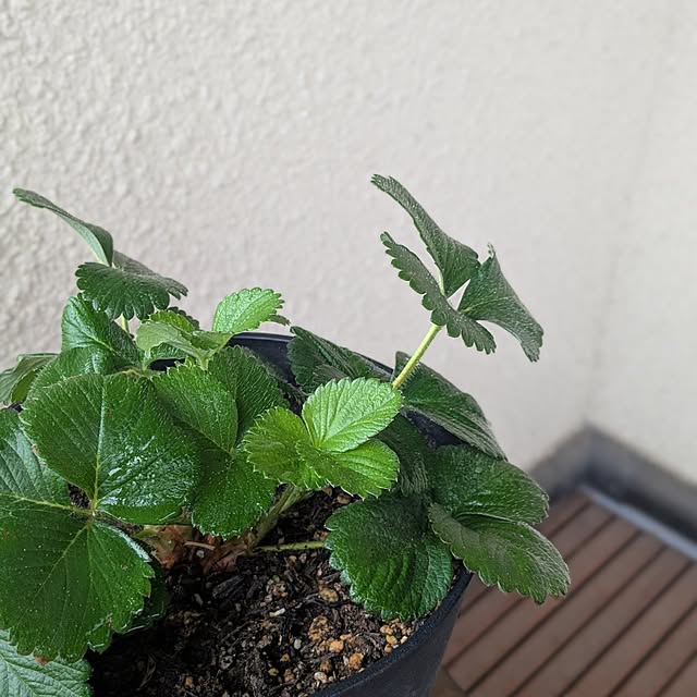 reeさんの部屋