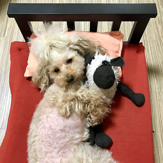 fuafuaさんの実例写真