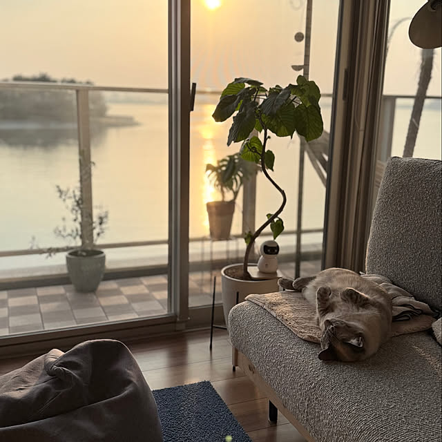 amさんの実例写真