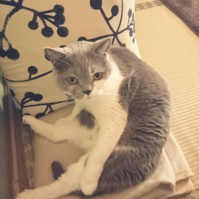 rhuさんの実例写真