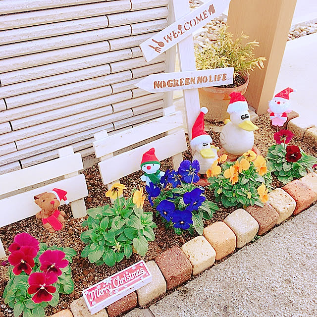 manachanさんの実例写真