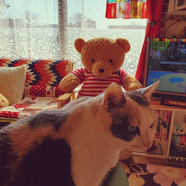 kumutanさんの実例写真