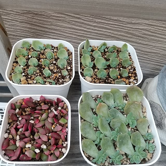 meiさんの部屋