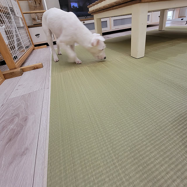 mio_ibu_1106さんの実例写真